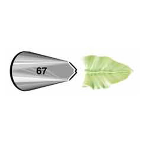 צנטר 67 – צנטר עלה