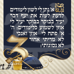 חלאקה אלגנטי