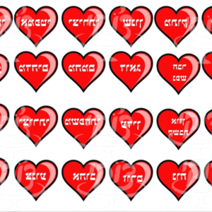 24 סיבות לגבר אדום טרנספר
