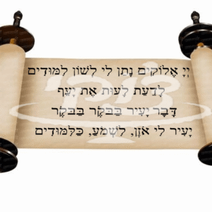 חלאקה בתוך מגילה