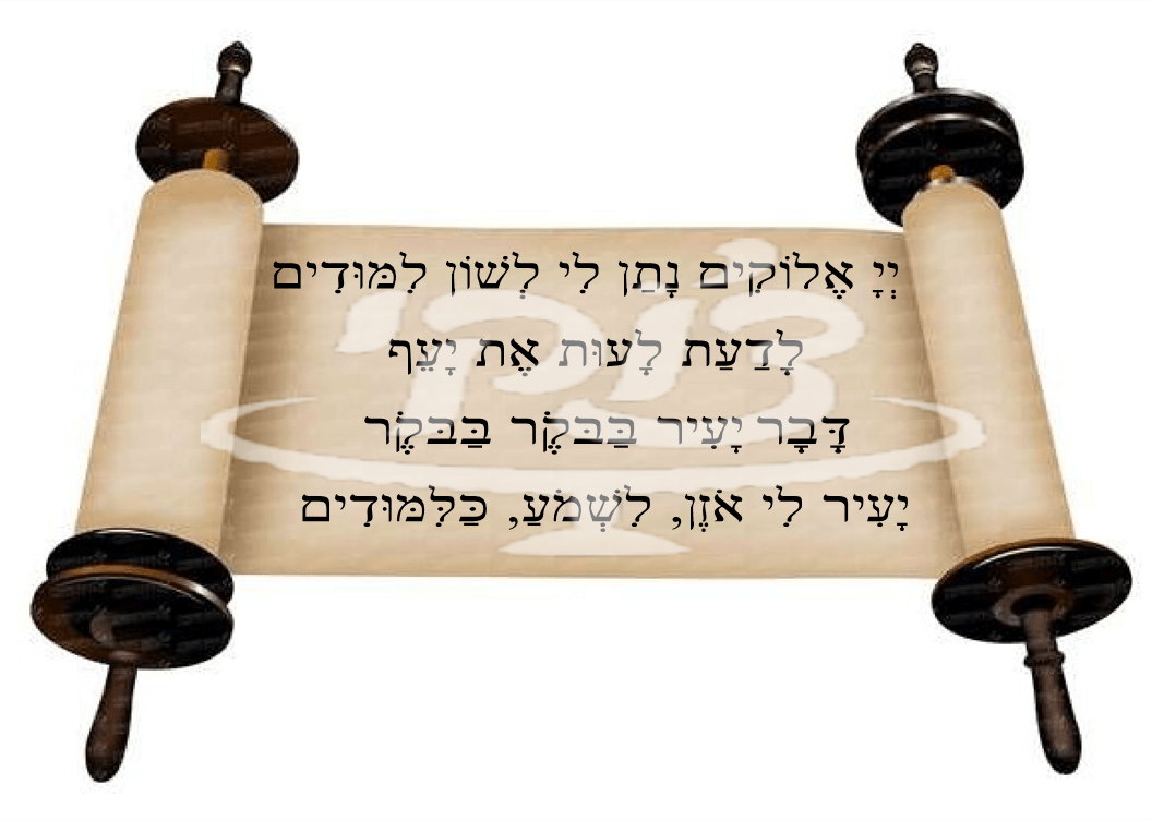 חלאקה בתוך מגילה