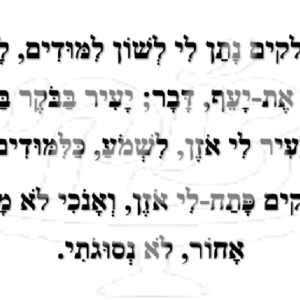 פסוק שחור על גבי לבן
