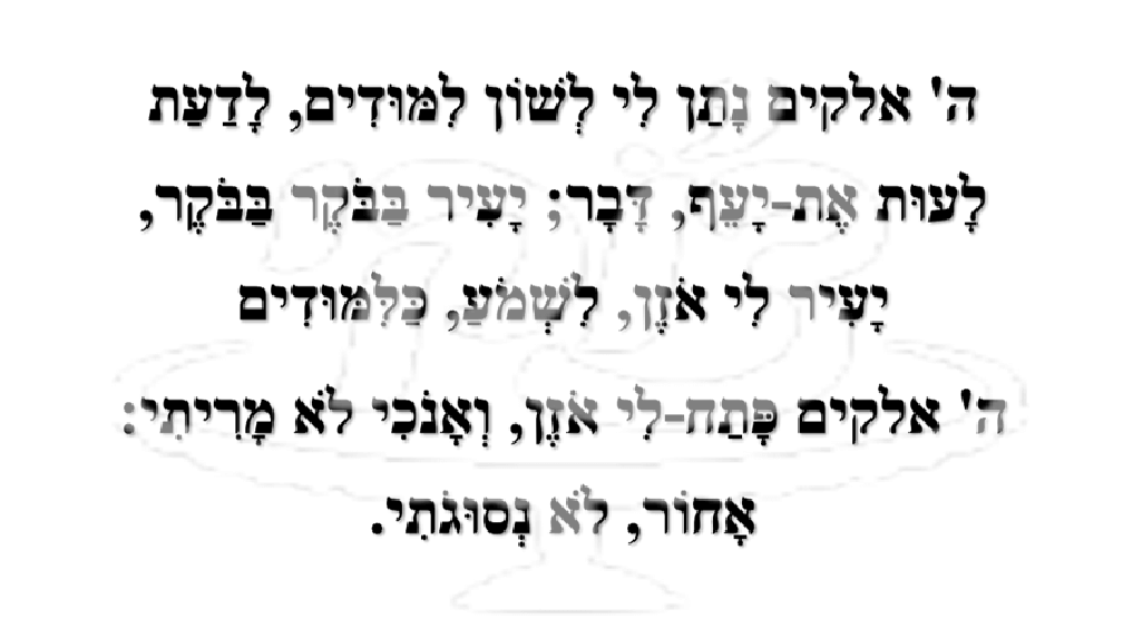פסוק שחור על גבי לבן
